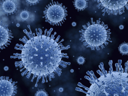 cabina tunel paso sanitizante desinfecta area publica virus personas portadores covid coronavirus