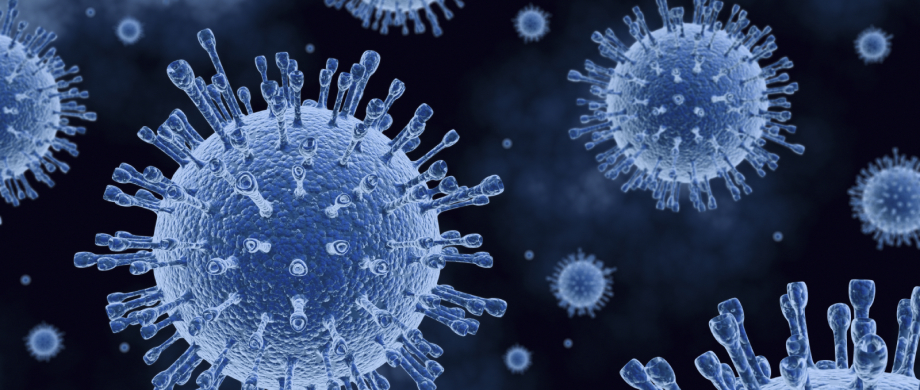 bio seguridad bioseguridad cabina tunel sanitizante desinfecta covid coronavirus green terminator persona contagiada goticulas virus proteger salud