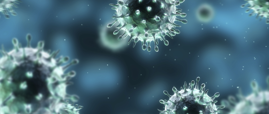 biosecurity bioseguridad bio-security bio-seguridad virus coronavirus covid covid-19